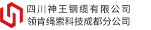 四川邊坡防護(hù)網(wǎng),電梯鋼絲繩,成都鋼絲繩,礦用鋼絲繩,邊坡防護(hù)網(wǎng),四川鋼絲繩,四川神王鋼纜有限公司